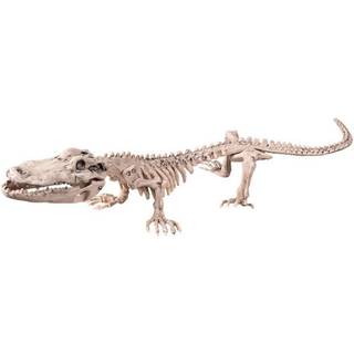 Krokodille skelet
