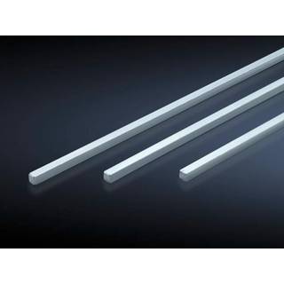 Rittal Rigler ts