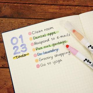 Zig Clean Color DOT Pen sort tusch pen