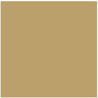 Vallejo Model Air 17ml UK Light Stone N 61 [Levering: 1-2 dage]
