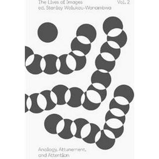 The Lives of Images, Vol. II: Analogy, Attunement, and Attention