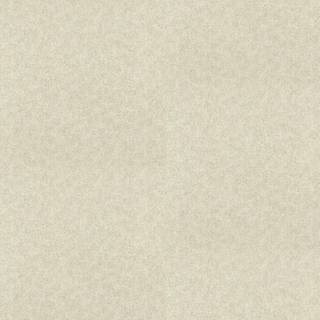 Shagreen - 312908