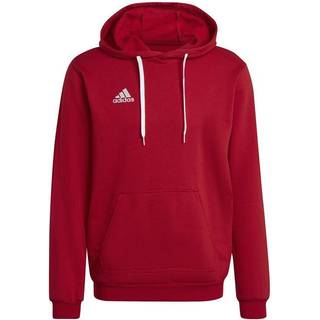 Adidas sweatshirt Entrada 22 herre
