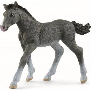 Schleich Trakehner Føl