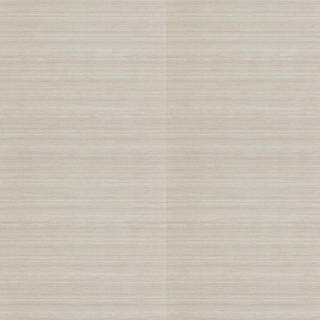 Raw Silk - ZAKA312521