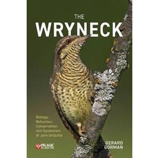 The Wryneck