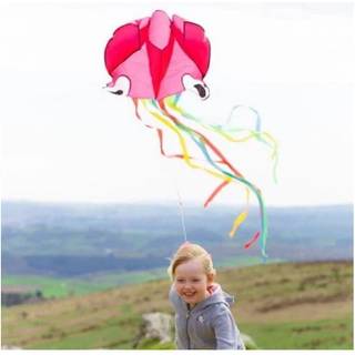 House of Marbles Mini Butterfly Childrens Kite Assortered Color Kite