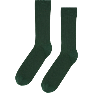Colorful Standard Classic Sock Emerald Green Mens