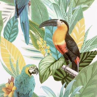 Arthouse Wallpaper Toucan Jungle 296803