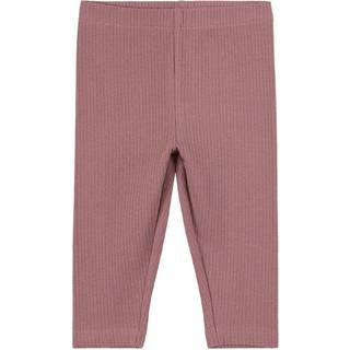 Fixoni Leggings Grape Shake 56 cm  Lilla  56 cm  Unisex