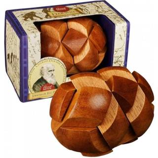 Darwin's Egg of Evolution Puzzle