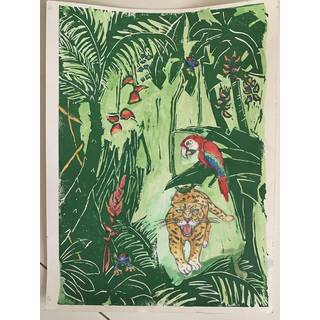 Fortællinger fra regnskoven