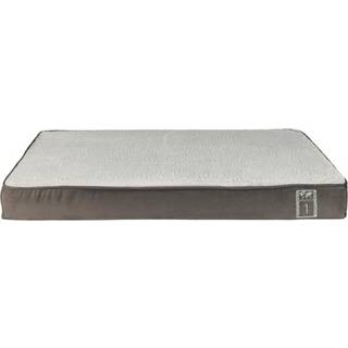 Best of all breeds vital pude, 80 x 50 cm, taupe / lys grå