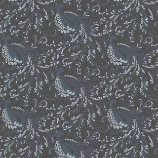 Diva 590417 Rulle: 10,05 m x 53 cm