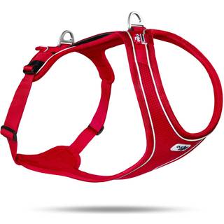 Curli Magnetic Belka Comfort harness black L