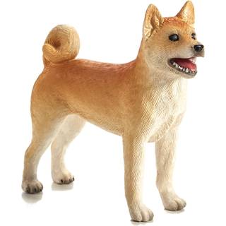 Mojo Shiba hund