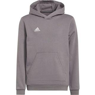 Adidas junior sweatshirt Entrada 22