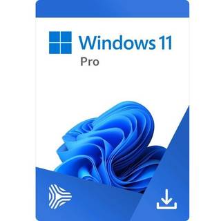Microsoft Windows 11 Pro OEM (PC) - Microsoft Key - GLOBAL