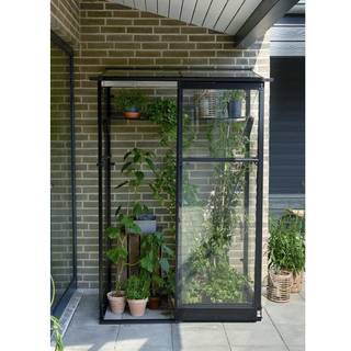 Halls Qube Lean-to 24 drivhus 0,8 m², sort, 3 mm hærdet glas