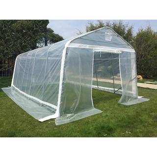 Polytunnel Drivhus, 3,6x8,4x2,68m, PE, 30,24m², Transparent
