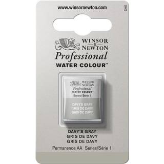 Winsor & Newton Professional akvarelfarve half pan Davy'S Grey 217