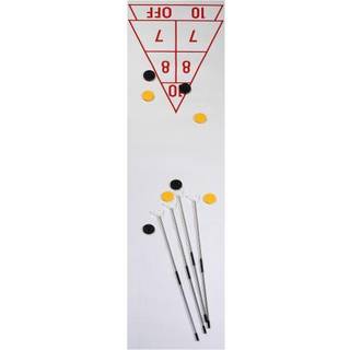 Champion Sports Economy ShuffleBoard Set: Indoor Outdoor Game - 8 Pucks 4 Cue Sticks & Plastic Court 30 X 180 """"