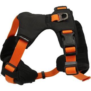 Dogman Sportsele Emmi orange XL