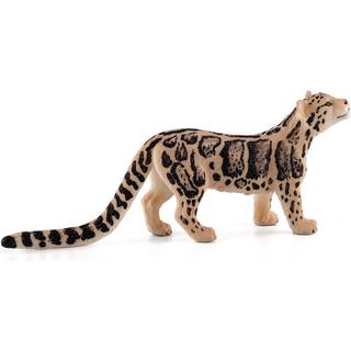 Mojo Clouded Leopard