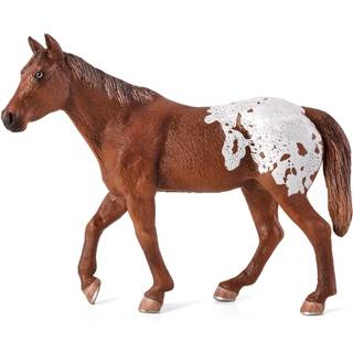 Mojo Appaloosa Hingst, Kastanje