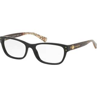 Coach HC6082 5561 53 Briller Kvinder Brun - Transparent Brown - 53mm