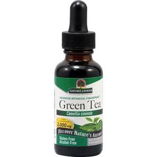 Grøn Te Ekstrakt - 30 ml
