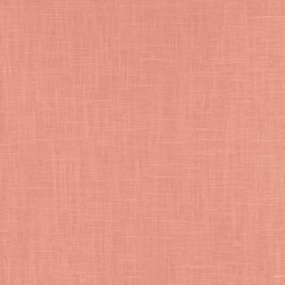 Boho Rhapsody - RY31721