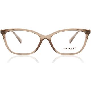 Coach HC6146U 5561 53 Briller Kvinder Brun - Transparent Brown - 53mm