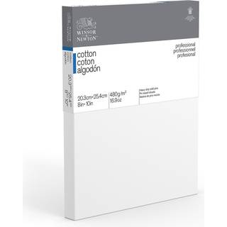 Winsor & Newton Professional Cotton Canvas 8 """" X 10 """"