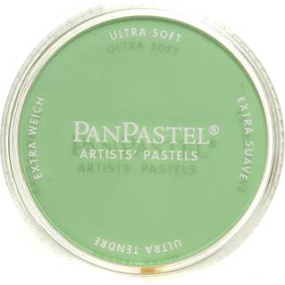 Panpastel-kunstner Pasteller af Golden Chromiumoxid Gr?n farvetone 2.44 / 62mm Pan Diameter Professionel kunstner Pasteller Unikt panformat (kage