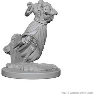 Nolzur’s Marvelous Miniatures - Ghosts