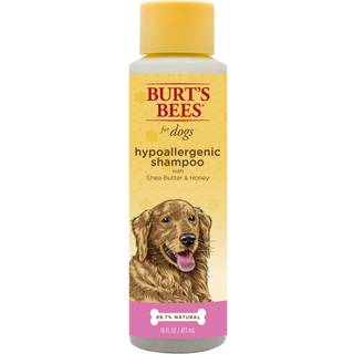 Burts bier til kæledyr naturlige hypoallergeniske shampoo med sheasmør og honning til alle hunde og hvalpe med tør eller følsom hud fremstillet i