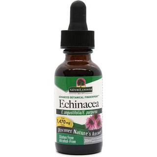 Echinacea Rod, 1000 mg - 30 ml