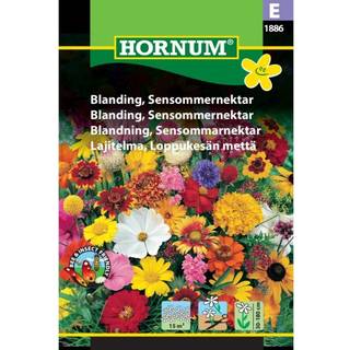 Sensommernektar blomsterblanding - Blomsterfrø