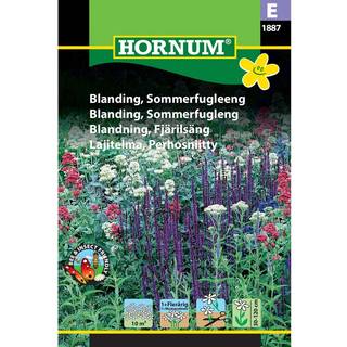 Sommerfugleeng blomsterblanding