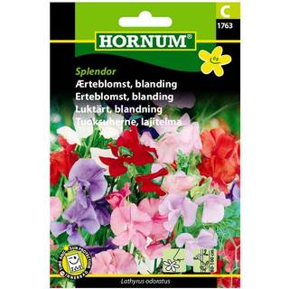 Ærteblomst blanding - Blomsterfrø
