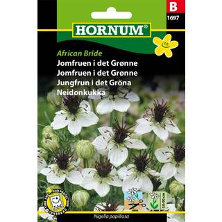 Jomfruen i det grønne - African Bride - Blomstefrø