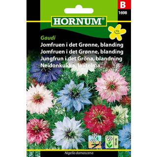 Jomfruen i det grønne blanding Blomsterfrø