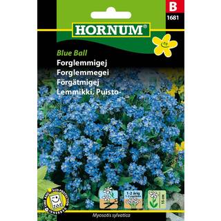 Forglemmigej blå Blue Bell - Blomsterfrø