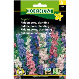 Ridderspore blanding - Blomsterfrø