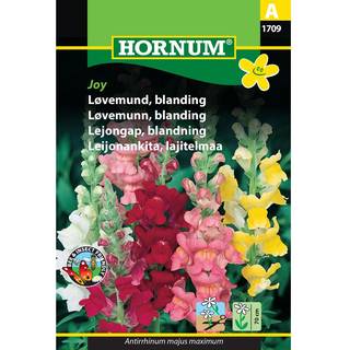 Løvemund - Blomsterfrø