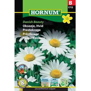 Okseøje Danish Beauty - Blomsterfrø