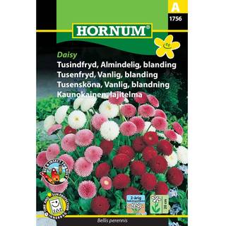 Tusindfryd blanding - Blomsterfrø