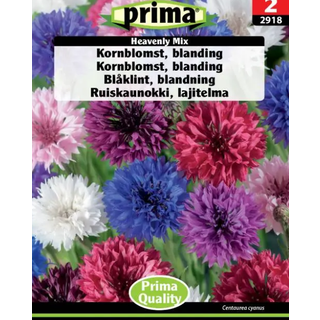 Kornblomst blanding - Blomsterfrø