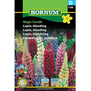 Lupin blanding - Blomsterfrø - Lupinfrø i farverig blanding.